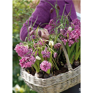 DEN FRüHLING üBERLISTEN