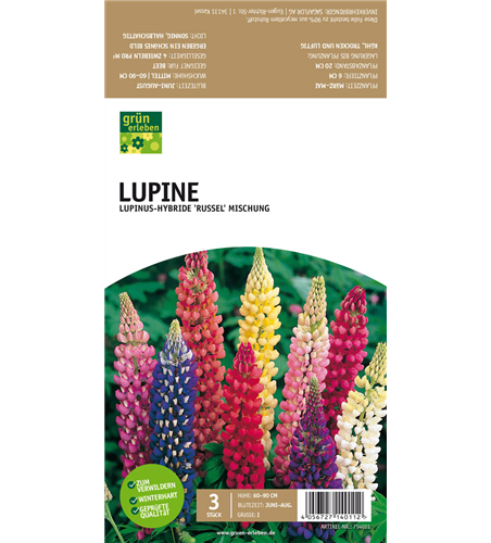 Lupine