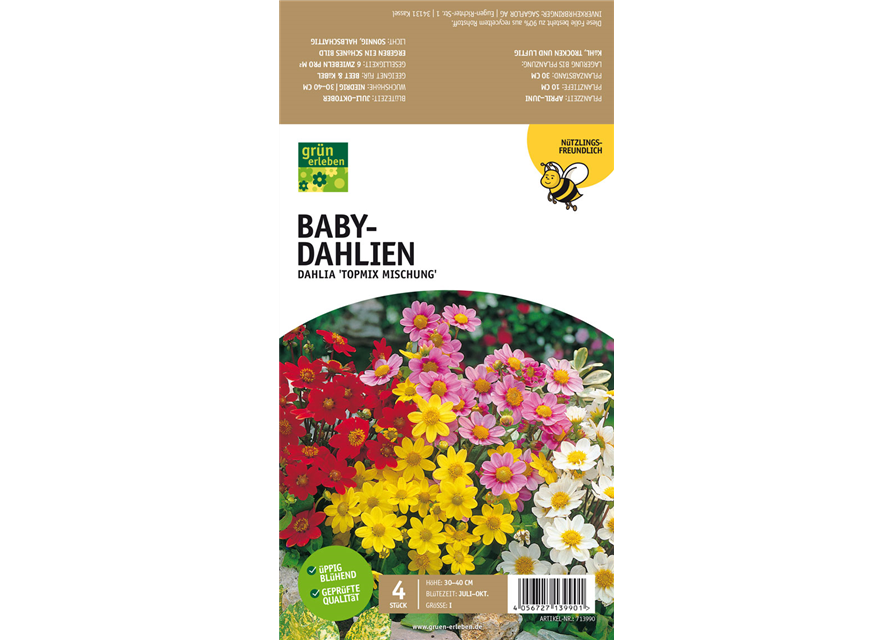 Bienenfreundliche Baby-Dahlien